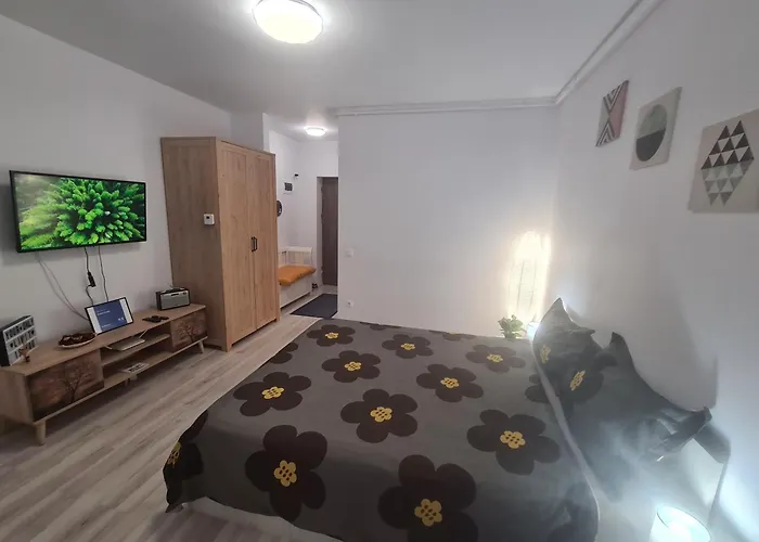 Siriului Studio